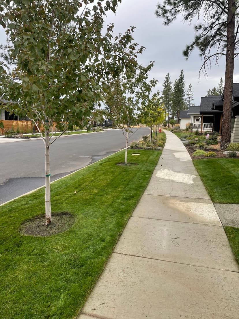 Innovative Design Solutions's image